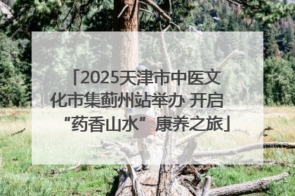 2025天津市中医文化市集蓟州站举办 开启“药香山水”康养之旅