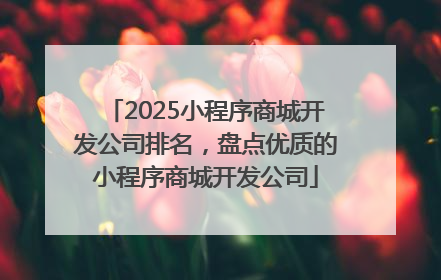 2025小程序商城开发公司排名，盘点优质的小程序商城开发公司