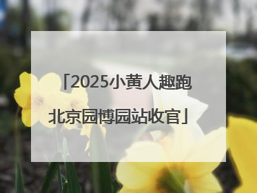 2025小黄人趣跑北京园博园站收官