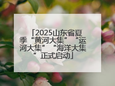 2025山东省夏季“黄河大集”“运河大集”“海洋大集”正式启动
