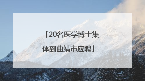 20名医学博士集体到曲靖市应聘
