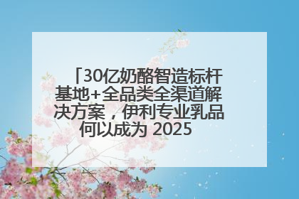 30亿奶酪智造标杆基地+全品类全渠道解决方案，伊利专业乳品何以成为 2025 焙烤展 MV
