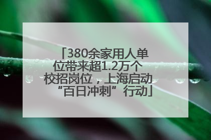 380余家用人单位带来超1.2万个校招岗位，上海启动“百日冲刺”行动