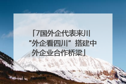 7国外企代表来川 “外企看四川”搭建中外企业合作桥梁