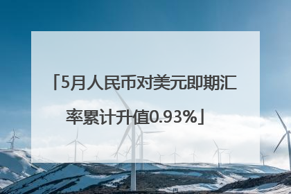 5月人民币对美元即期汇率累计升值0.93%