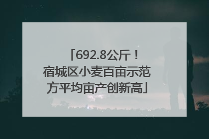 692.8公斤！宿城区小麦百亩示范方平均亩产创新高