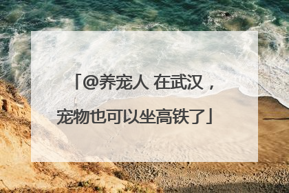 @养宠人 在武汉，宠物也可以坐高铁了