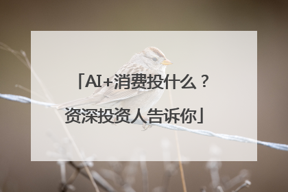 AI+消费投什么？资深投资人告诉你