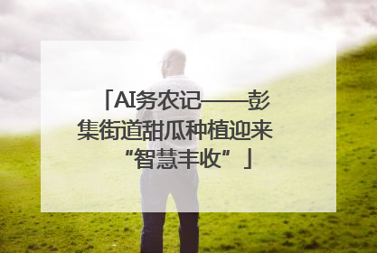 AI务农记——彭集街道甜瓜种植迎来“智慧丰收”