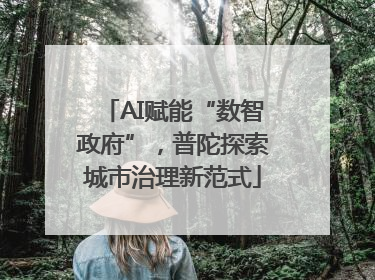 AI赋能“数智政府”，普陀探索城市治理新范式