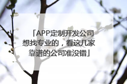 APP定制开发公司想找专业的，看这几家靠谱的公司准没错