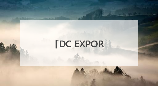 DC EXPORT迪仕艾普掀起多维精准养肤热潮