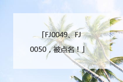 FJ0049、FJ0050，被点名！