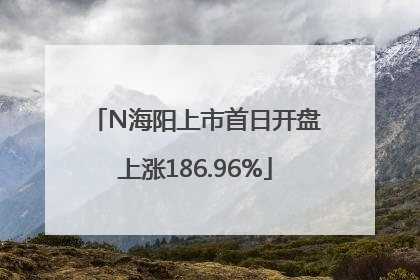 N海阳上市首日开盘上涨186.96%